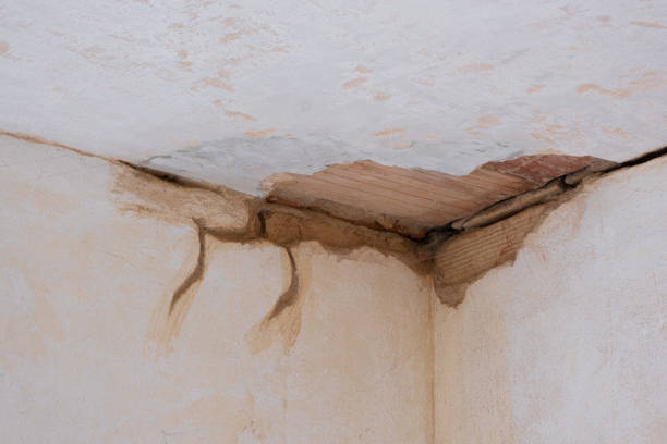 Best Water Damage Assessment and Inspection in Kootenai, ID