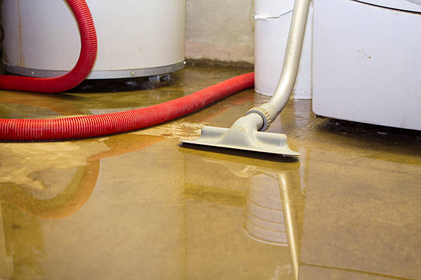 Best Dehumidification and Moisture Control in Kootenai, ID