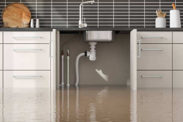 Best Emergency Water Extraction Services in Kootenai, ID